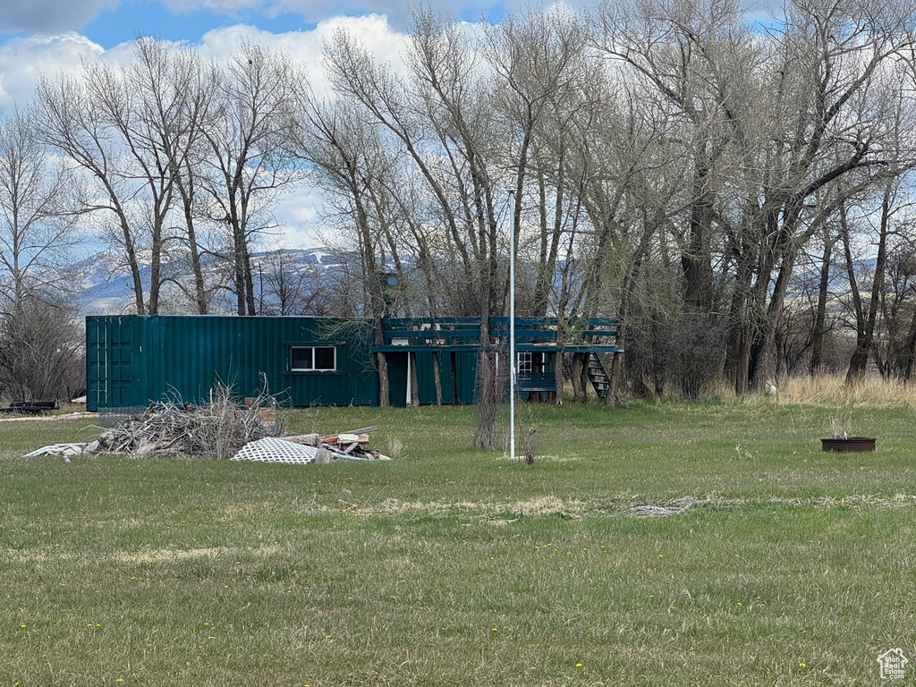View of grassy yard
