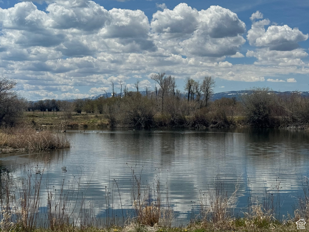 Water view
