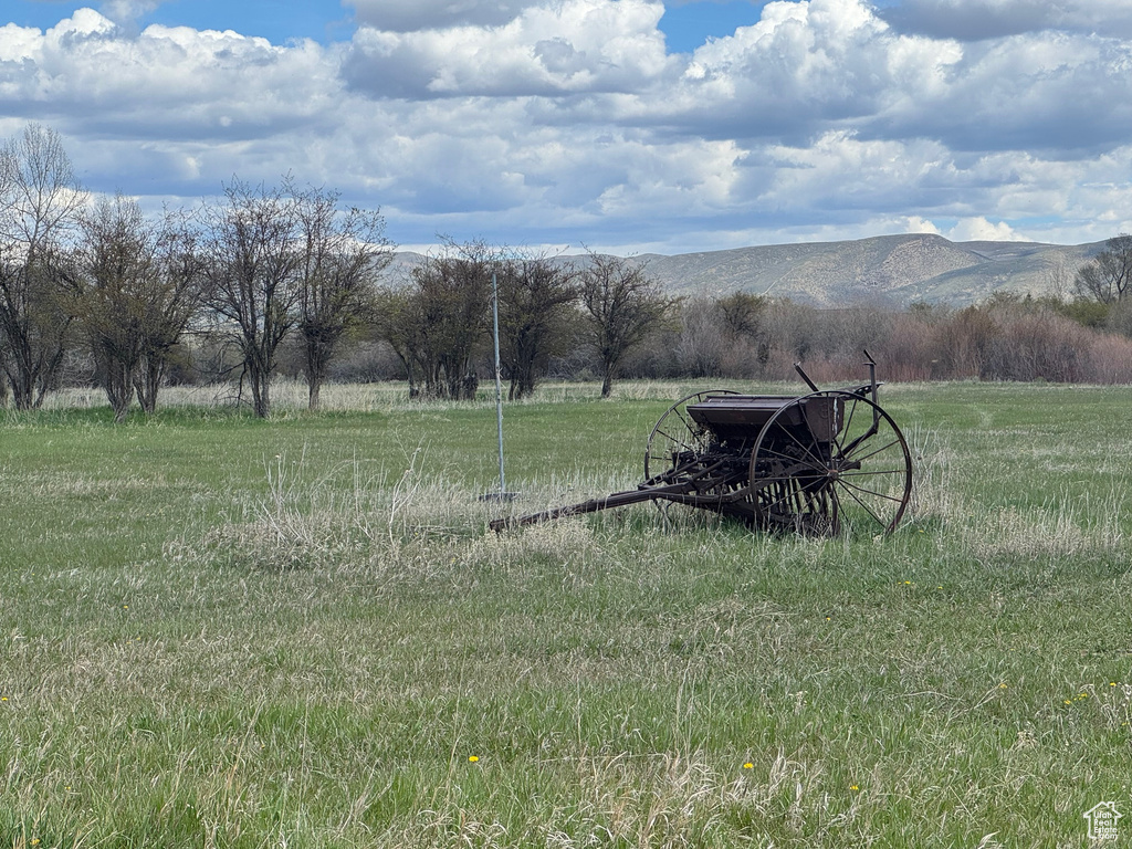 View of yard with a mountain view and a view of rural / pastoral area