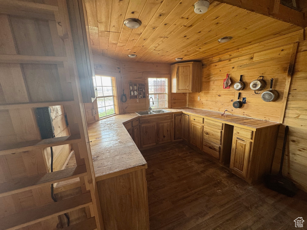 Kitchen with a sink, light countertops, dark wood-type flooring, wooden ceiling, and wooden walls