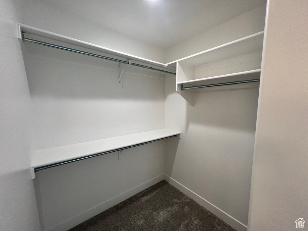 Spacious closet with dark colored carpet