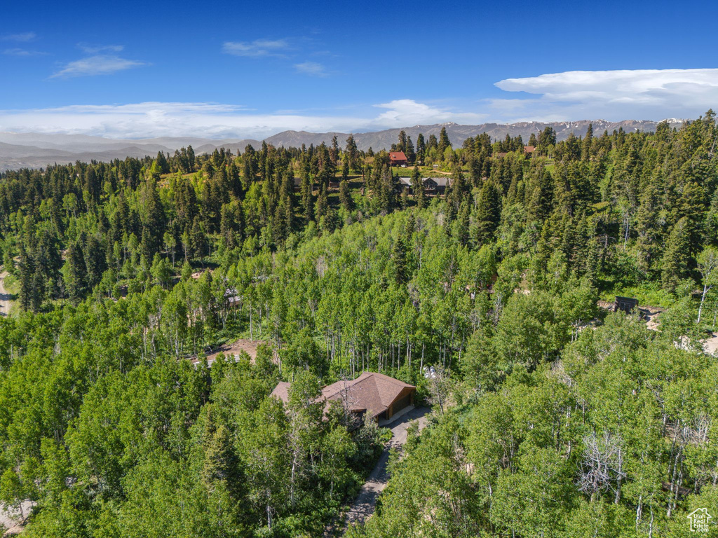 Drone / aerial view of a forest and mountains