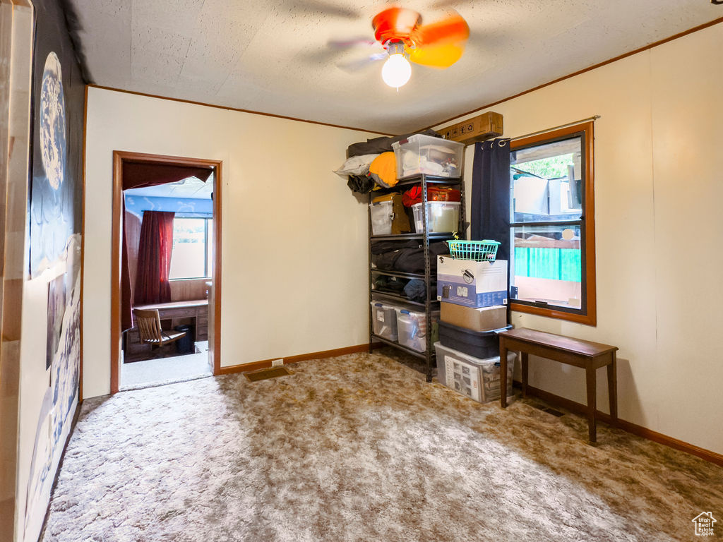 Storage room featuring a ceiling fan