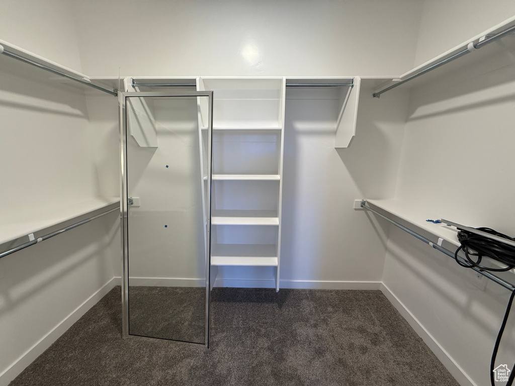 Walk in closet featuring dark colored carpet