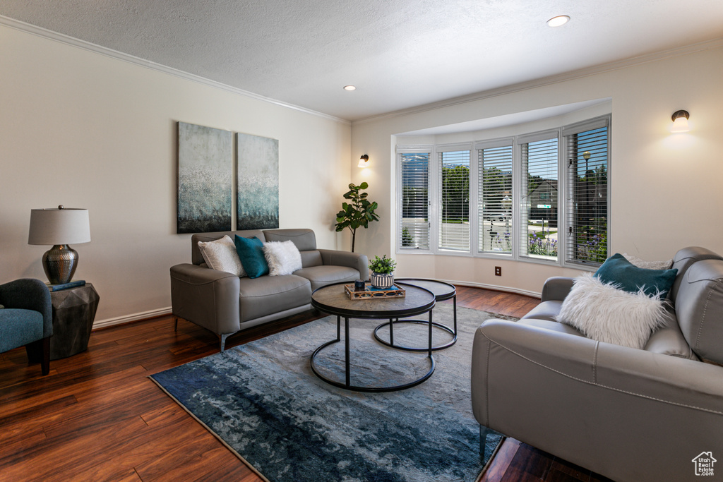 Living area featuring crown molding, wood finished floors, recessed lighting, baseboards, and a textured ceiling