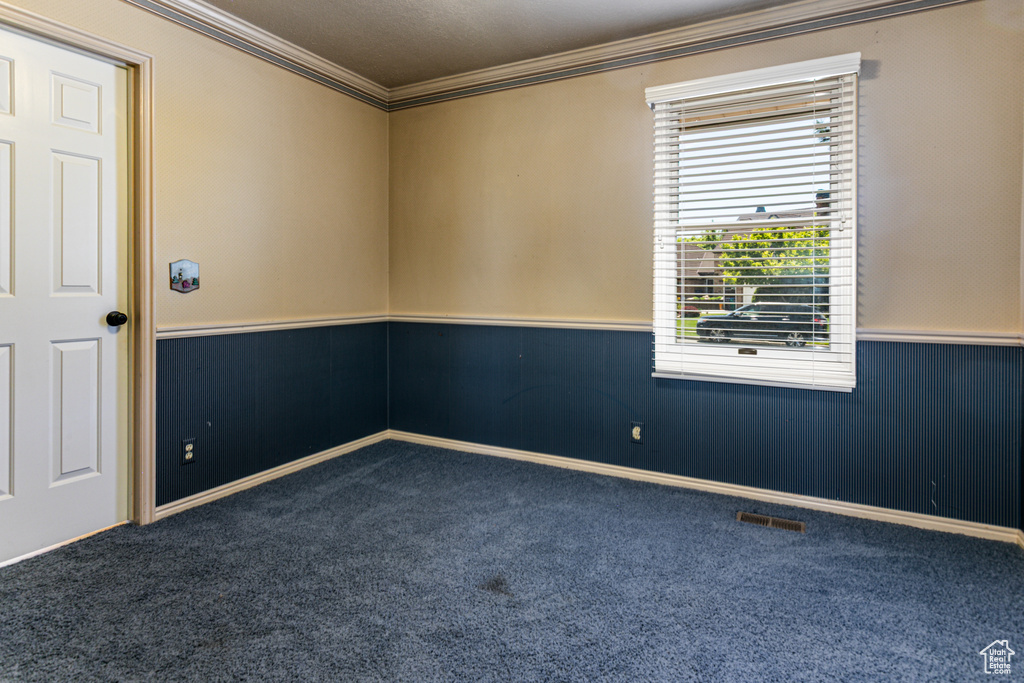 Carpeted empty room with crown molding and wainscoting