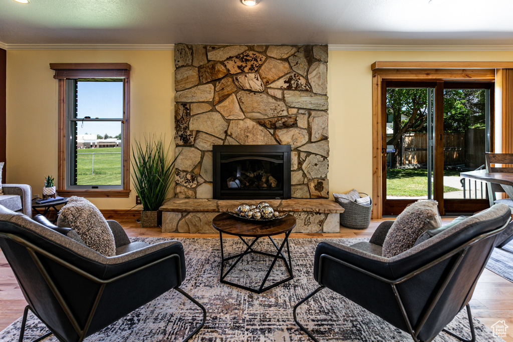 Living room with wood finished floors, crown molding, and a fireplace