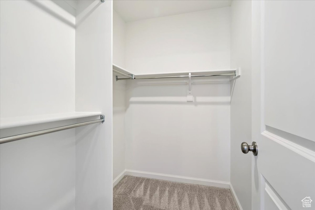 Spacious closet featuring carpet