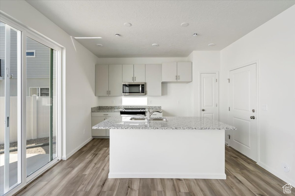 Kitchen featuring stainless steel appliances, light wood-type flooring, a sink, and a healthy amount of sunlight