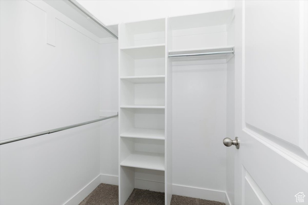 Walk in closet featuring carpet