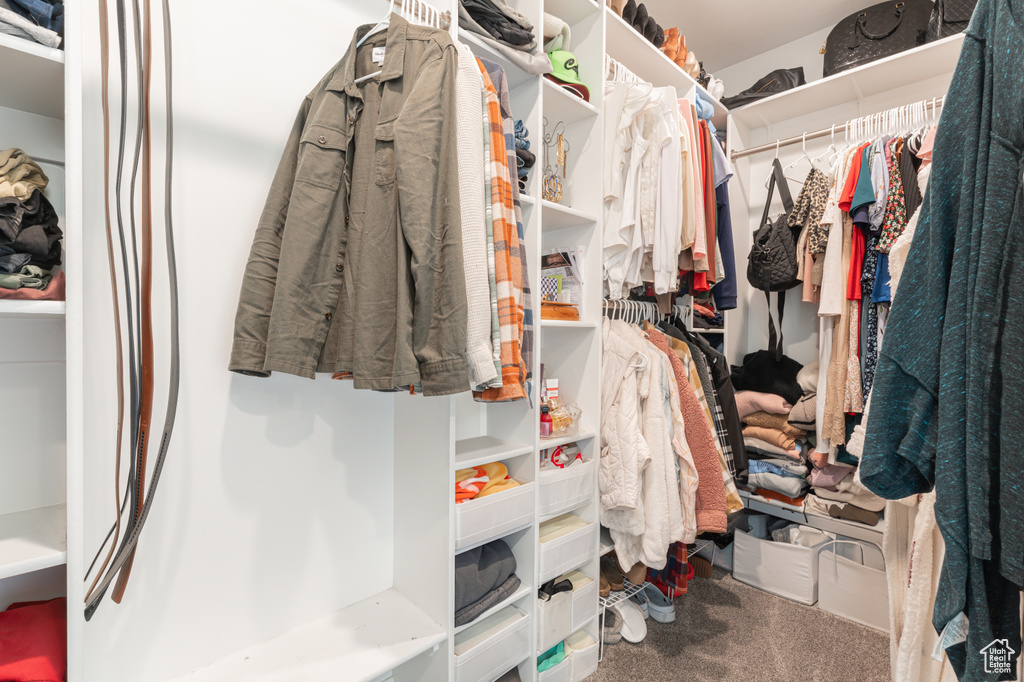 Walk in closet with carpet floors