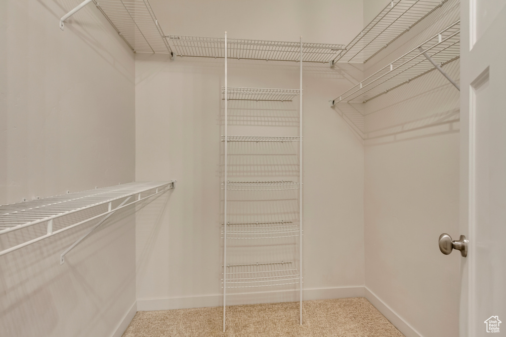 Spacious closet featuring carpet flooring