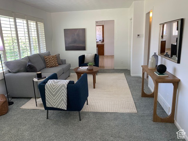 Living area featuring baseboards, carpet, and a wealth of natural light