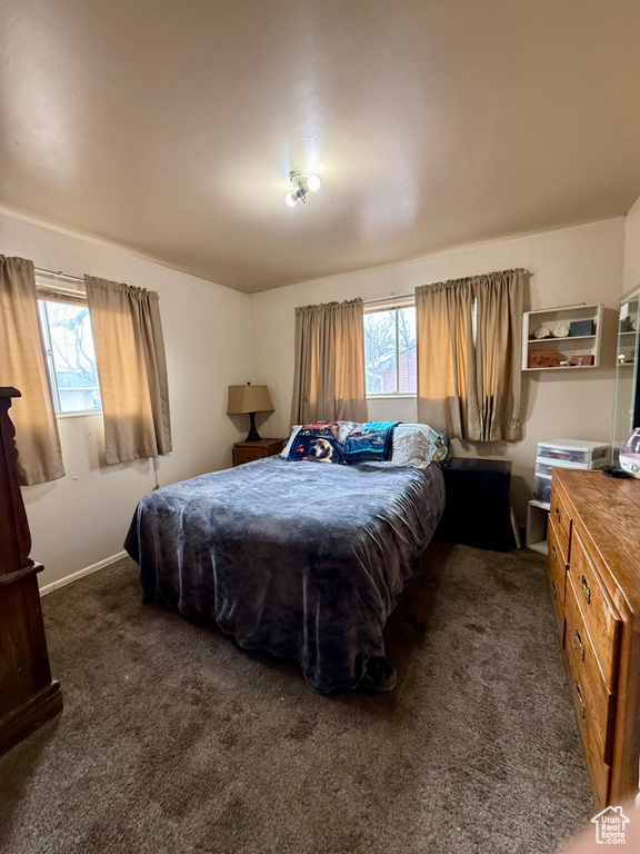 Carpeted bedroom with multiple windows
