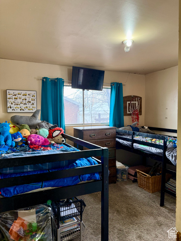 Bedroom with carpet flooring