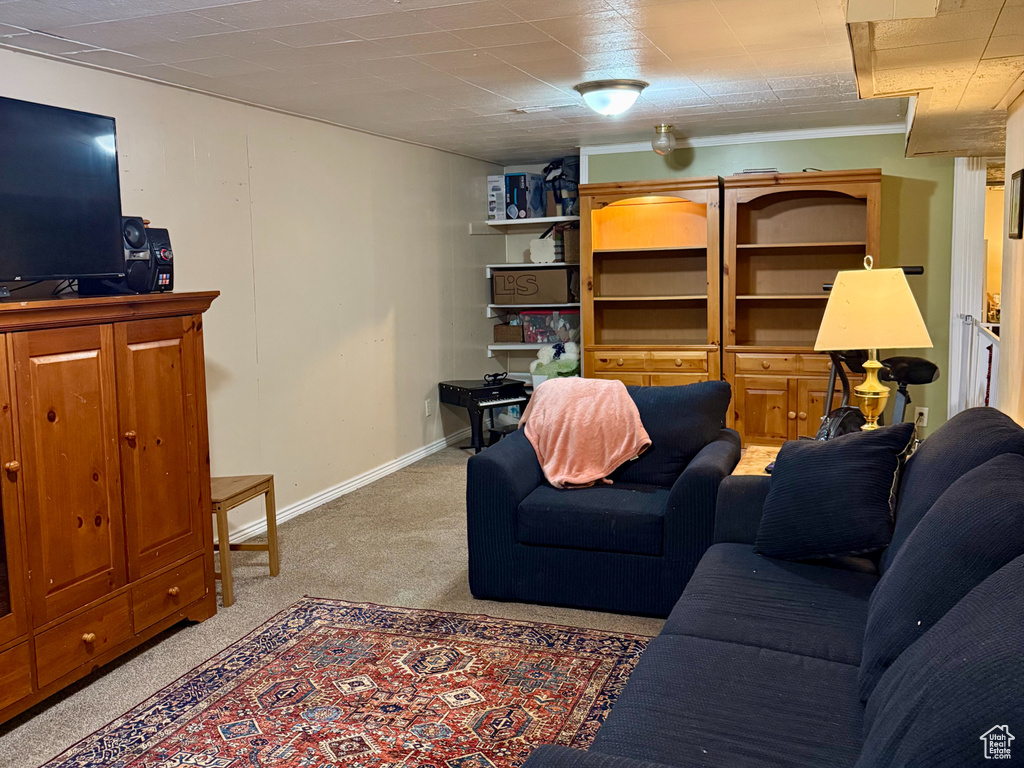 Living area featuring carpet flooring and baseboards