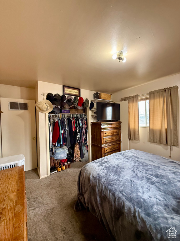 Carpeted bedroom featuring visible vents and a closet