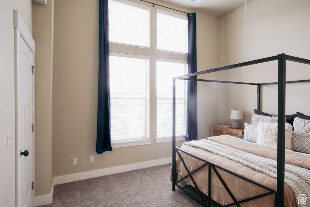 Carpeted bedroom featuring multiple windows