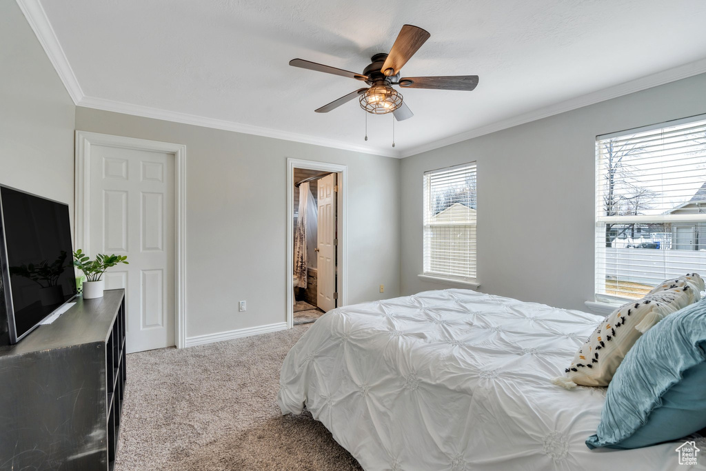 Carpeted bedroom featuring ceiling fan, baseboards, and crown molding