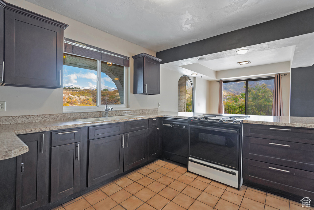 Kitchen with dishwasher, plenty of natural light, a sink, and range with gas cooktop