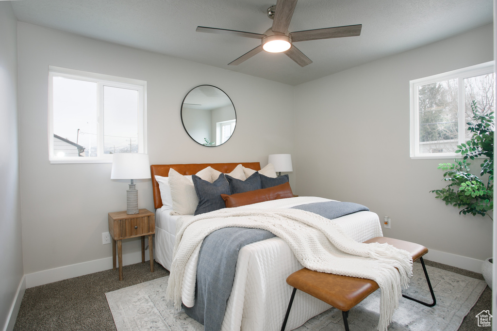 Carpeted bedroom featuring ceiling fan, multiple windows, and baseboards