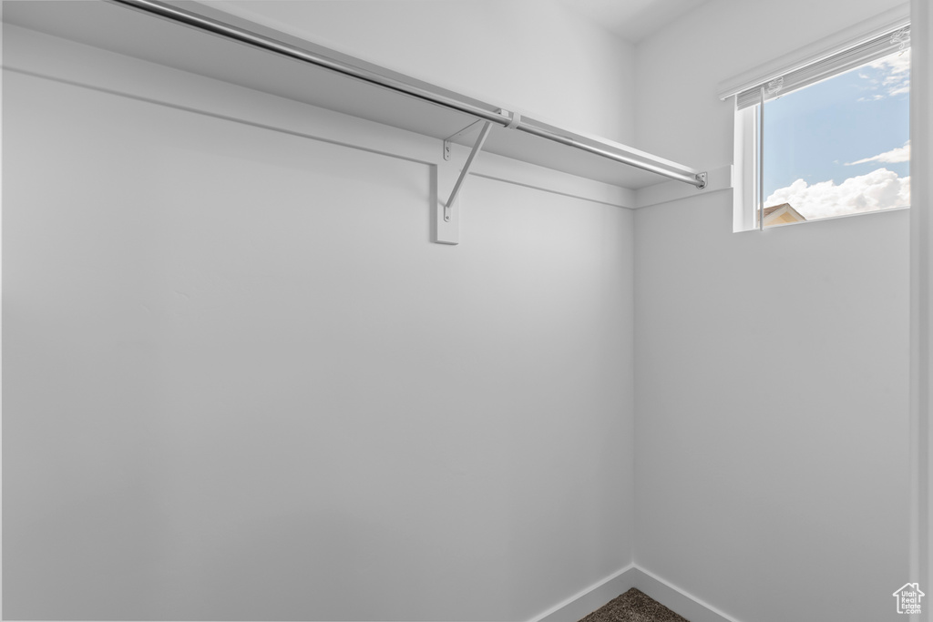 Spacious closet featuring carpet