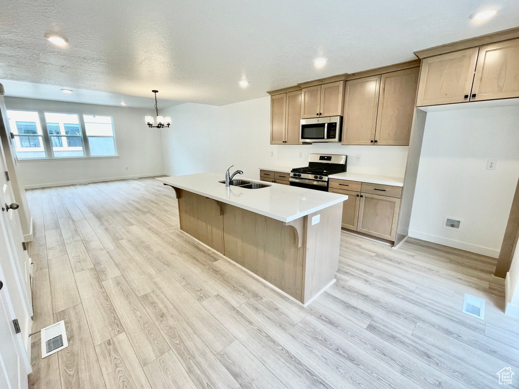 Kitchen featuring a chandelier, a sink, light wood-style flooring, and stainless steel appliances