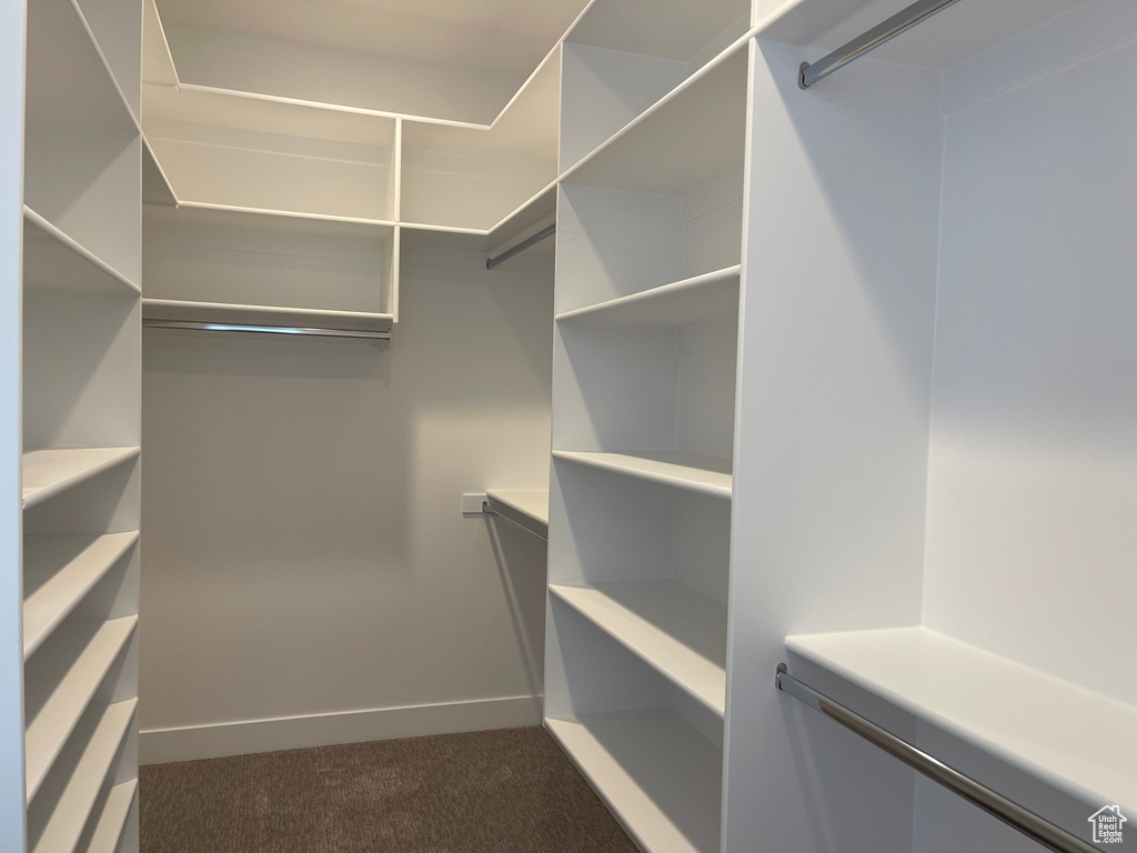 Walk in closet featuring dark colored carpet