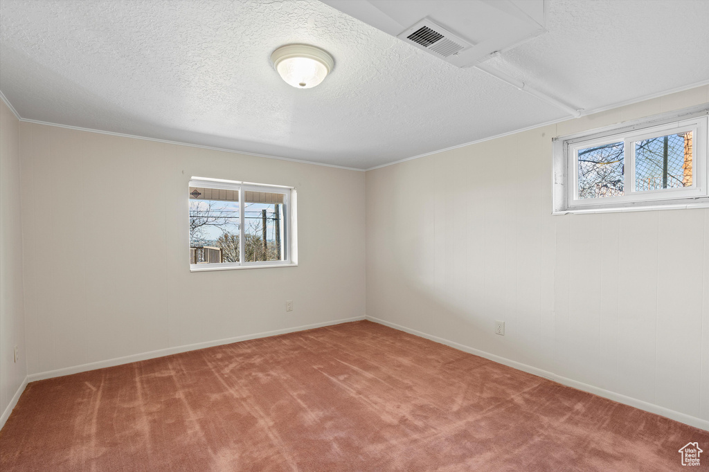 Unfurnished room with carpet floors, a textured ceiling, visible vents, and a wealth of natural light