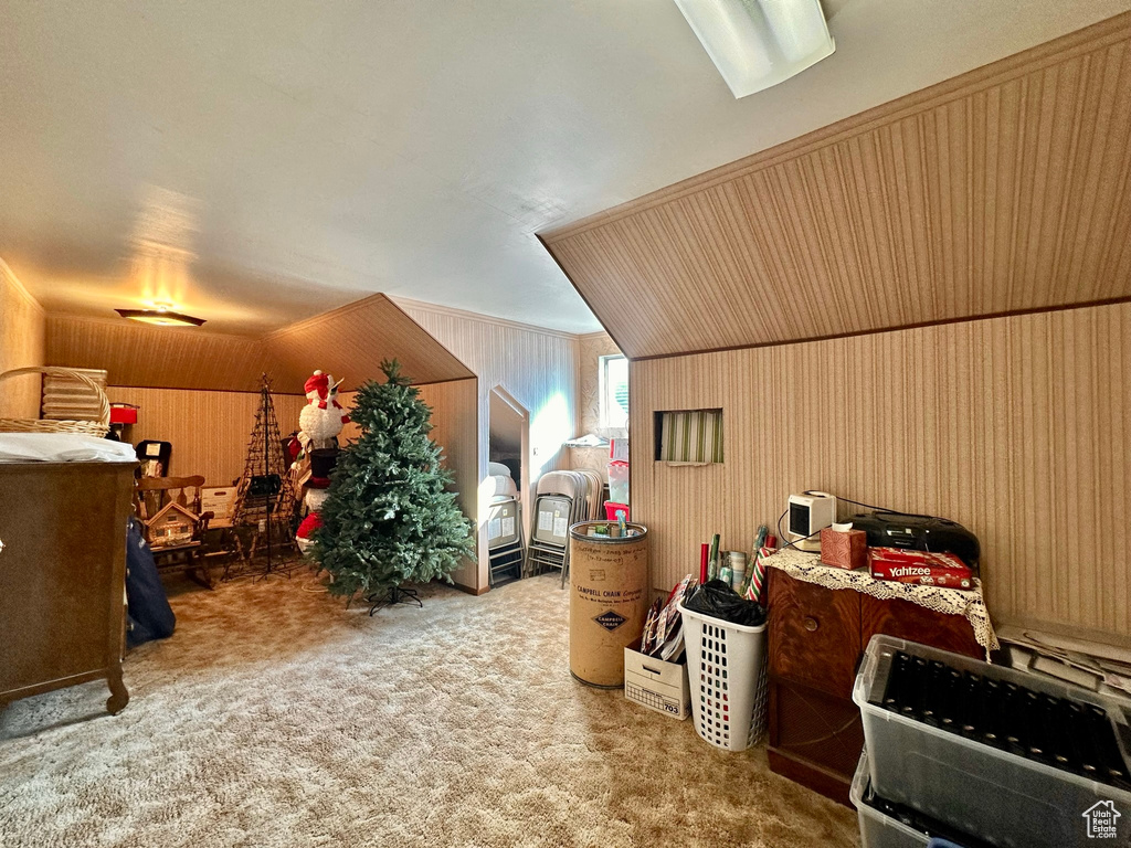 Additional living space featuring carpet floors