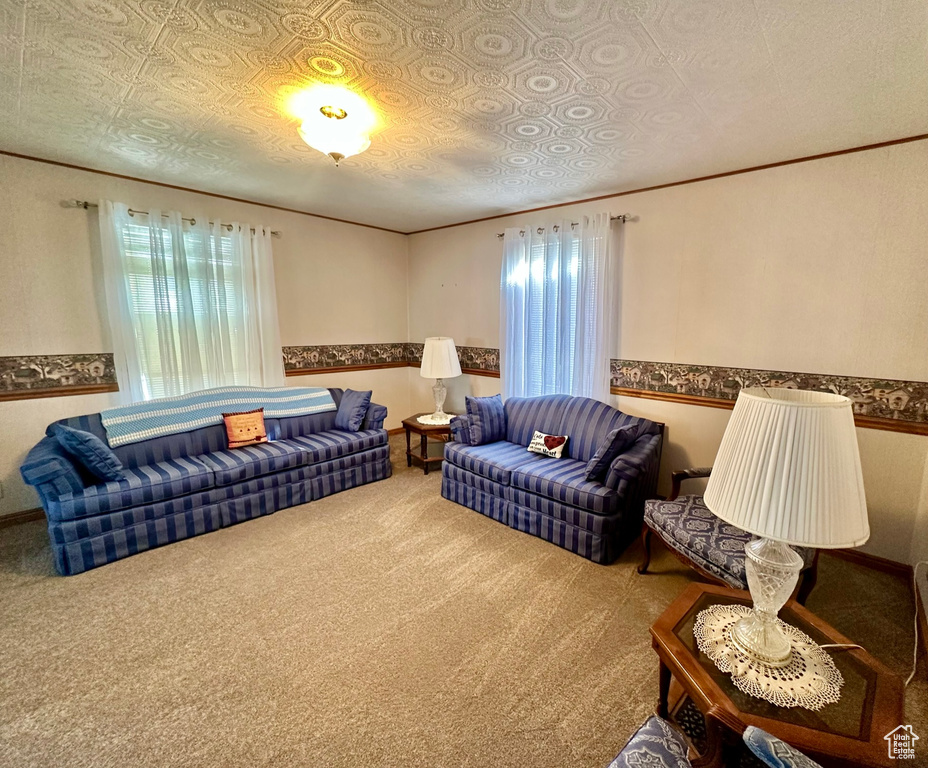 Carpeted living area with an ornate ceiling and crown molding