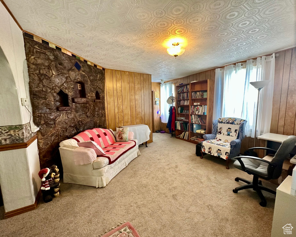 Sitting room featuring wooden walls and carpet flooring