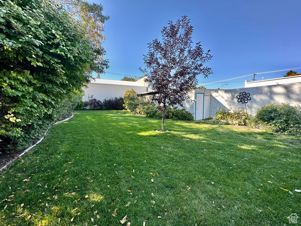 View of yard with an outdoor structure