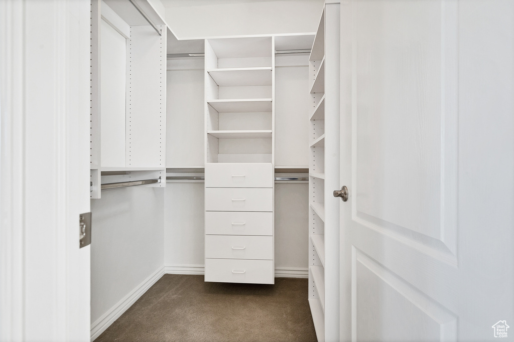 Walk in closet with dark colored carpet