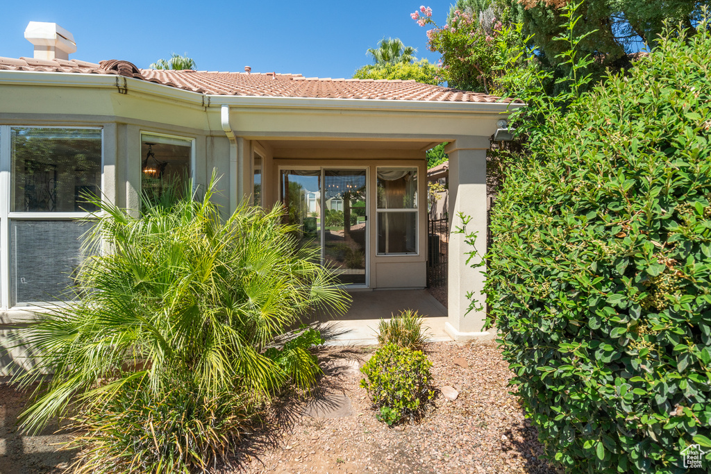Doorway to property featuring a tiled roof and stucco siding