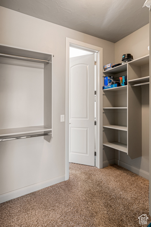 Walk in closet with carpet