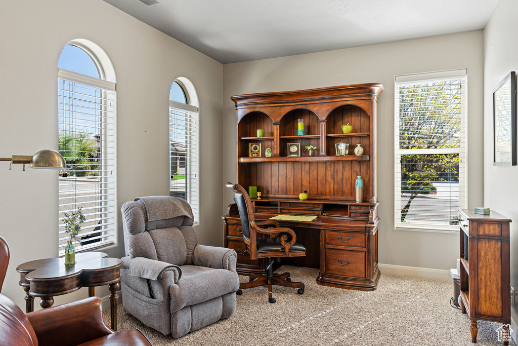 Office with carpet and baseboards