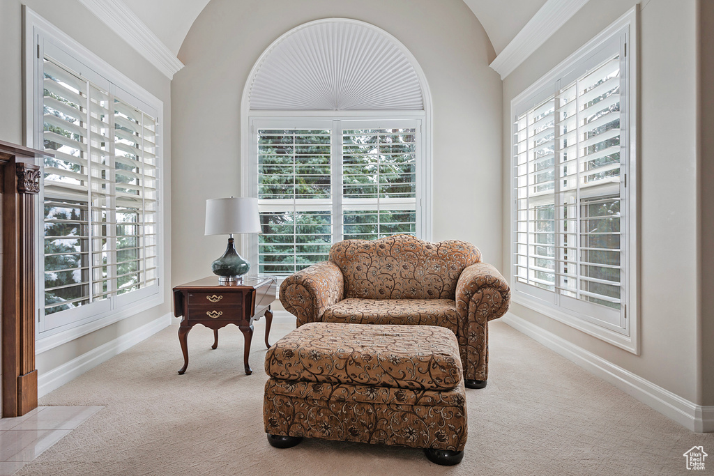 Sitting room with lofted ceiling, carpet, plenty of natural light, and baseboards