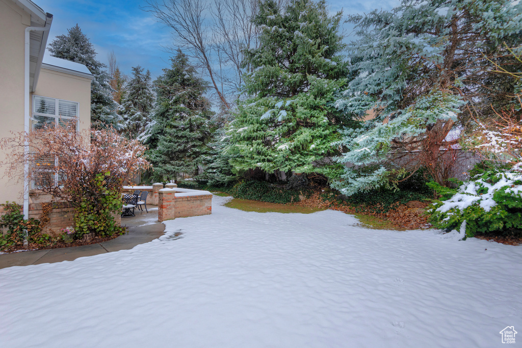 View of yard featuring a patio area