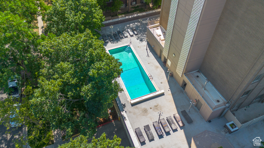 Bird's eye view of a pool area