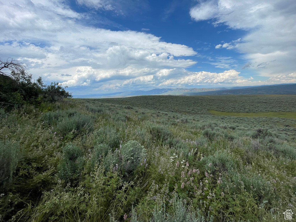 View of local wilderness with a mountain view