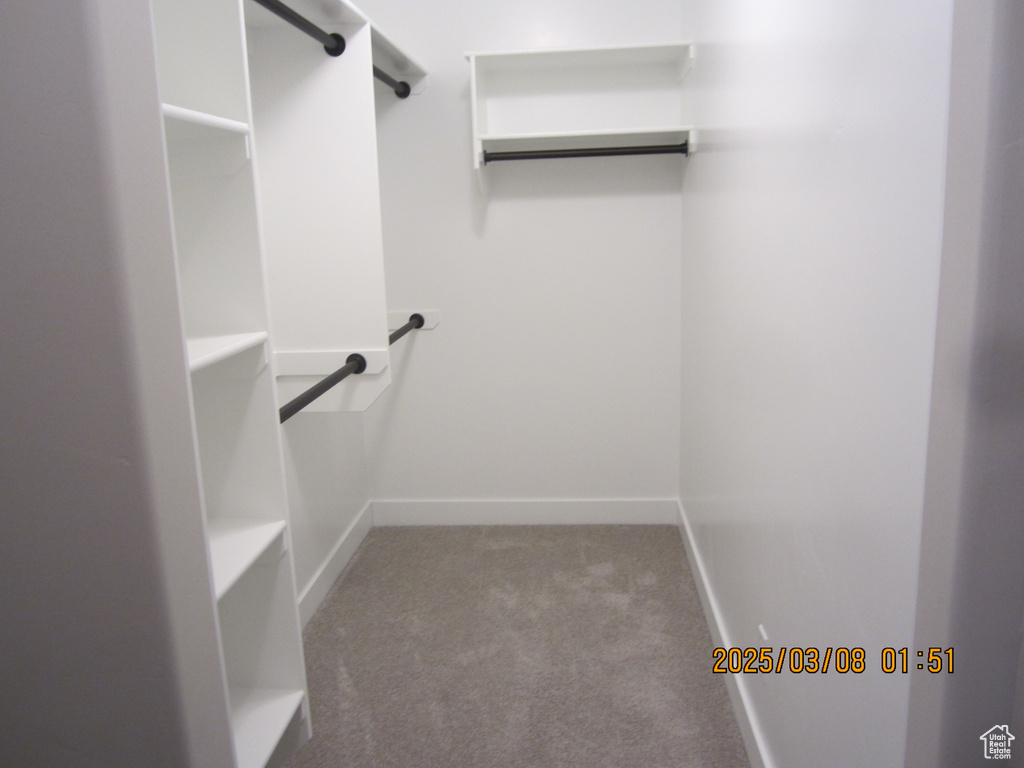 Walk in closet featuring carpet floors