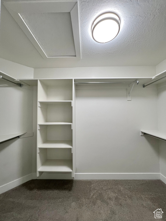 Spacious closet featuring dark carpet