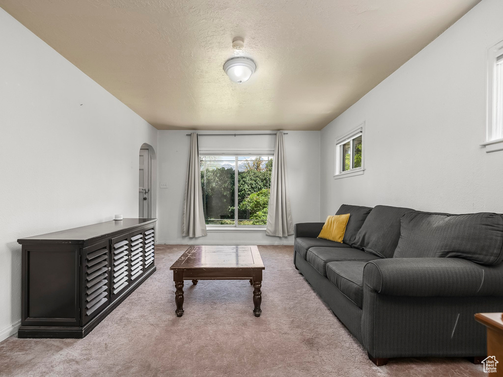 Living room with arched walkways, carpet floors, and a textured ceiling