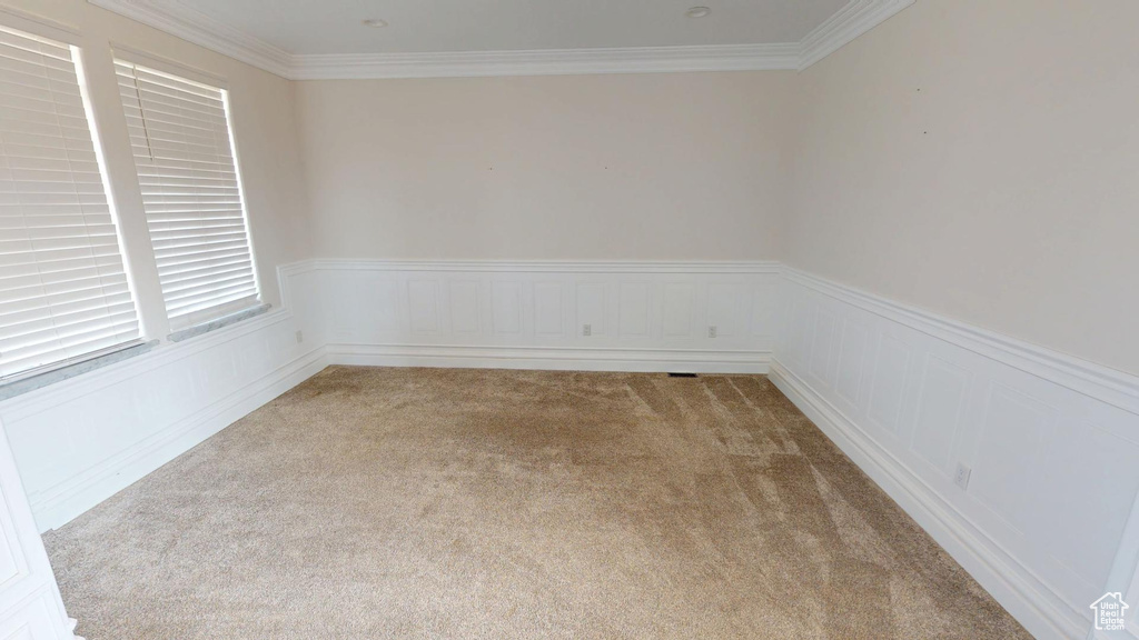Unfurnished room with wainscoting, carpet, and crown molding