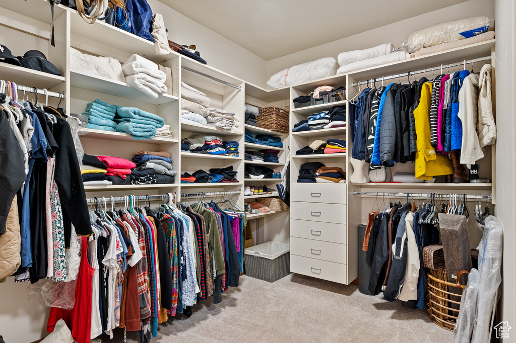 Spacious closet featuring carpet floors