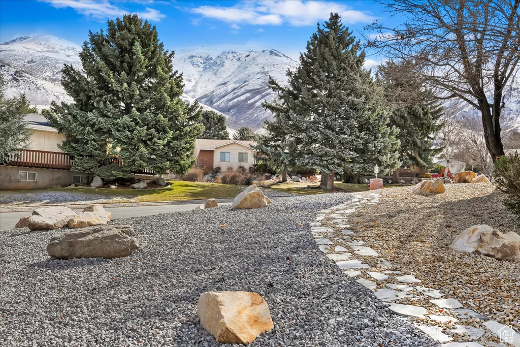 View of yard featuring a mountain view