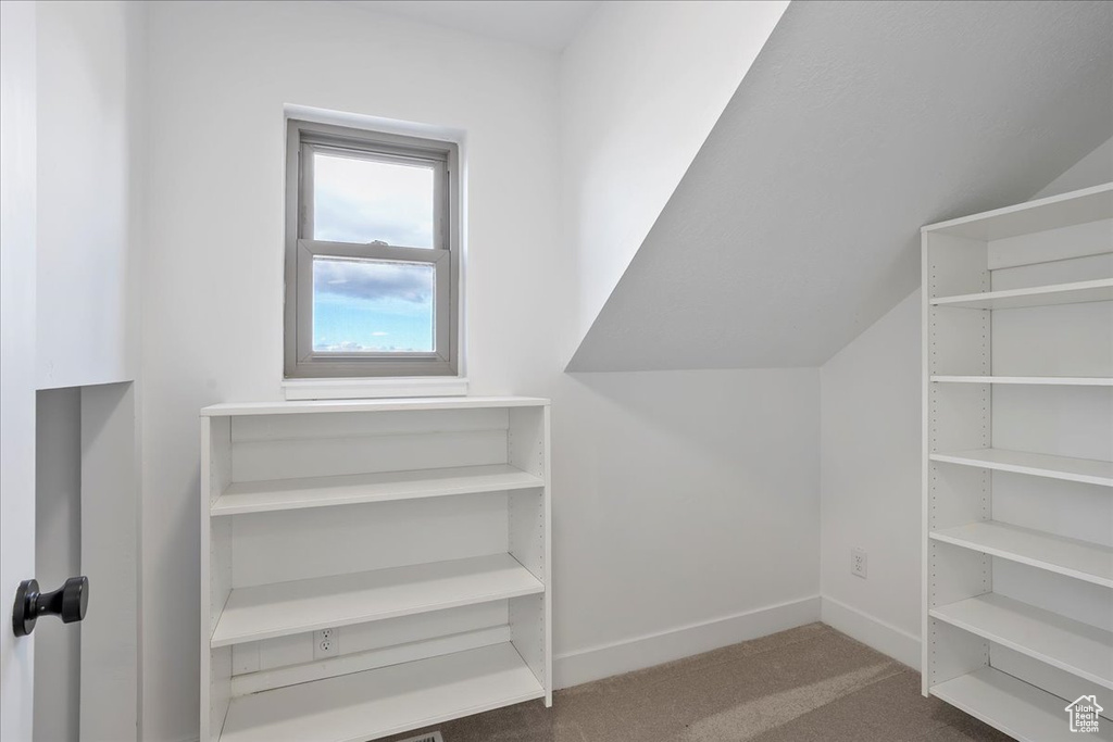 Spacious closet featuring carpet floors