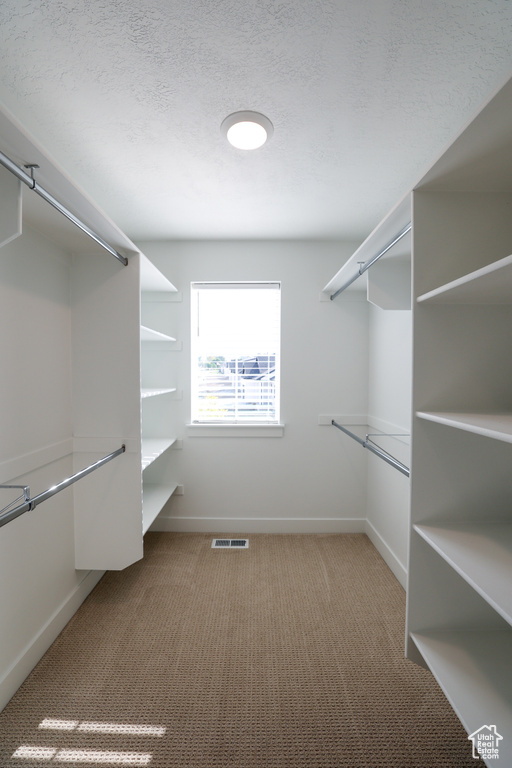 Spacious closet with carpet flooring and visible vents