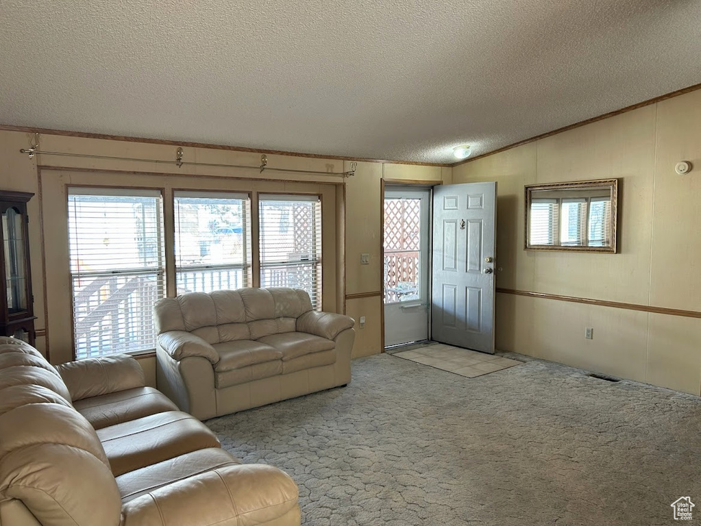 Living room featuring light carpet, a textured ceiling, and lofted ceiling